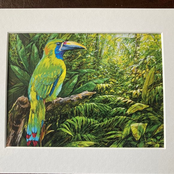 8x10" Colombia Cafe Quindio Art Print (w/mat): Green Tucan - HOME - Picture 3 of 6